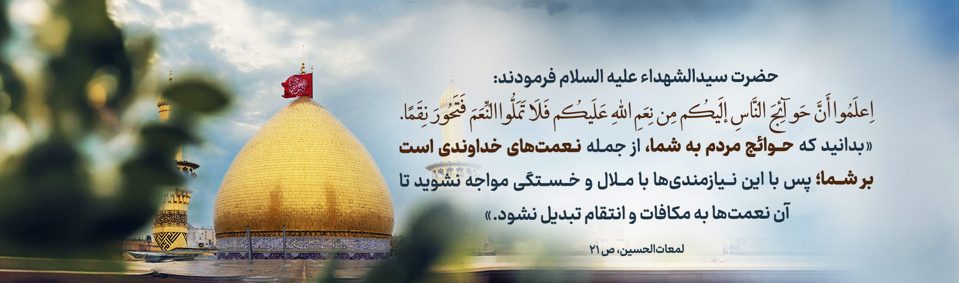 5e84c68d-c876-47fa-a13c-211b8fc7dffe.jpg