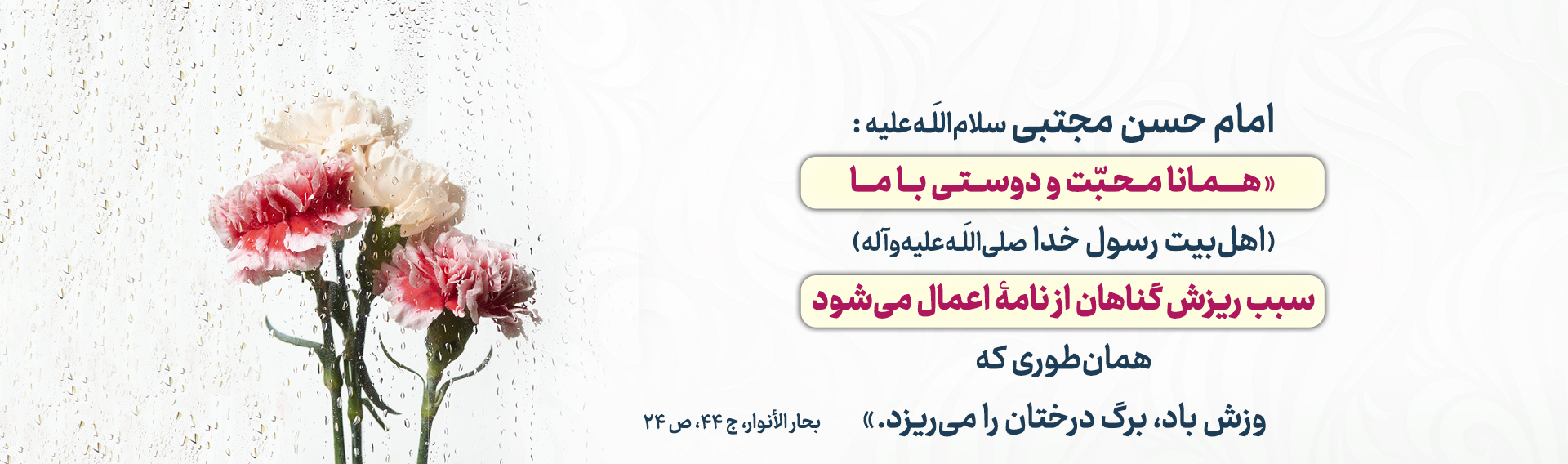 aefe3a0c-bc2c-4b3c-8d28-8efada69593f.jpg