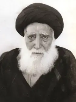 عکسی معروف از آیت الله سید جمال الدین موسوی گلپایگانی
